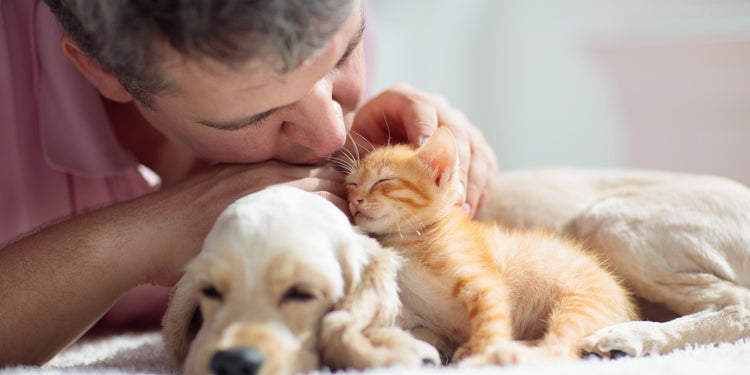 After care image for Spay Oklahoma